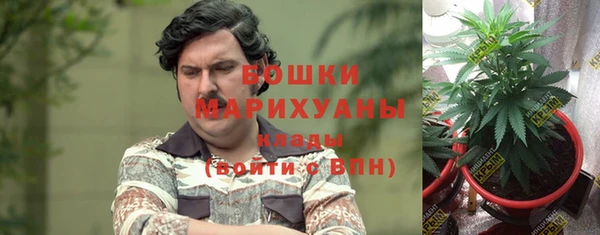 сатива Инсар