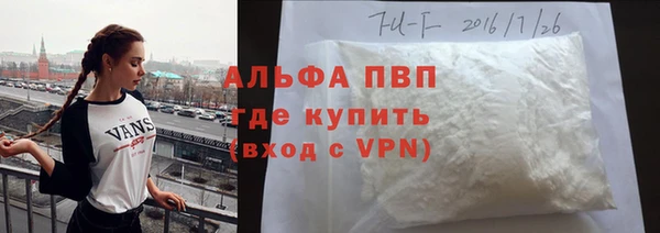 сатива Инсар