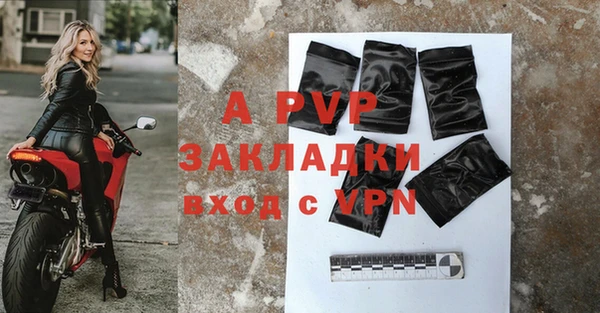 a pvp Инта