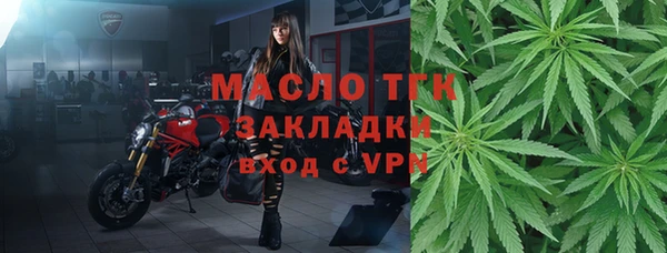 сатива Инсар