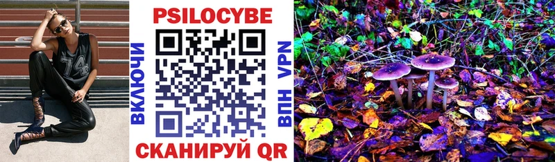 закладки Рубцовск Псилоцибиновые грибы Psilocybe